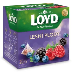 Čaj lesní plody pyramidový 20 x 2 g