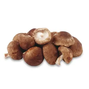 Houba Shiitake sušená 100 g