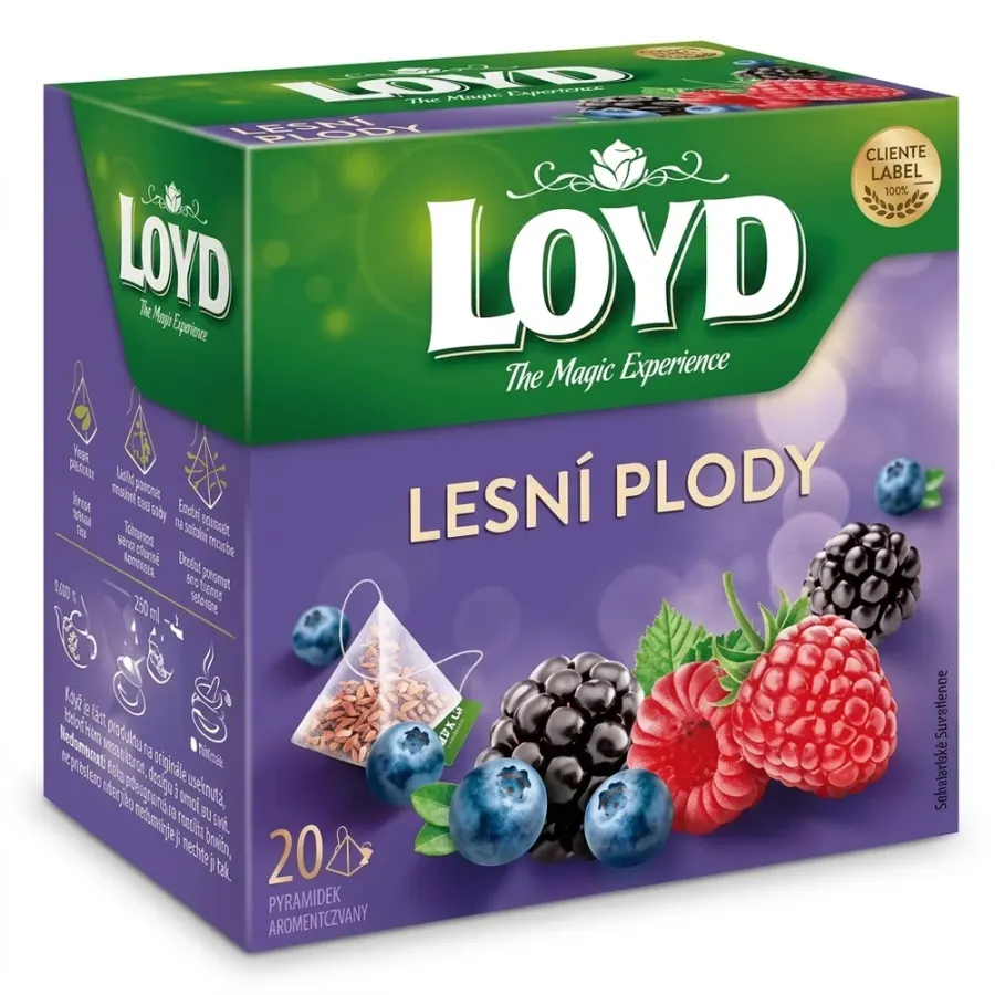 Čaj lesní plody pyramidový 20 x 2 g