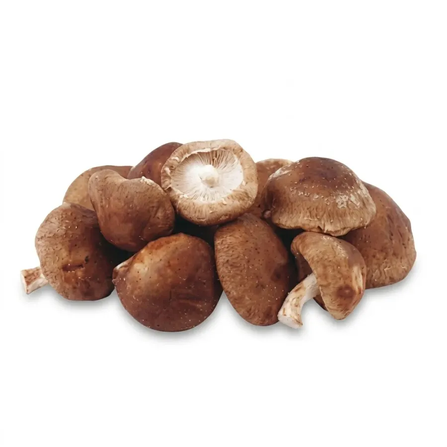 Houba Shiitake sušená 100 g