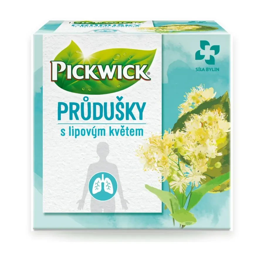 Čaj průdušky 22 g