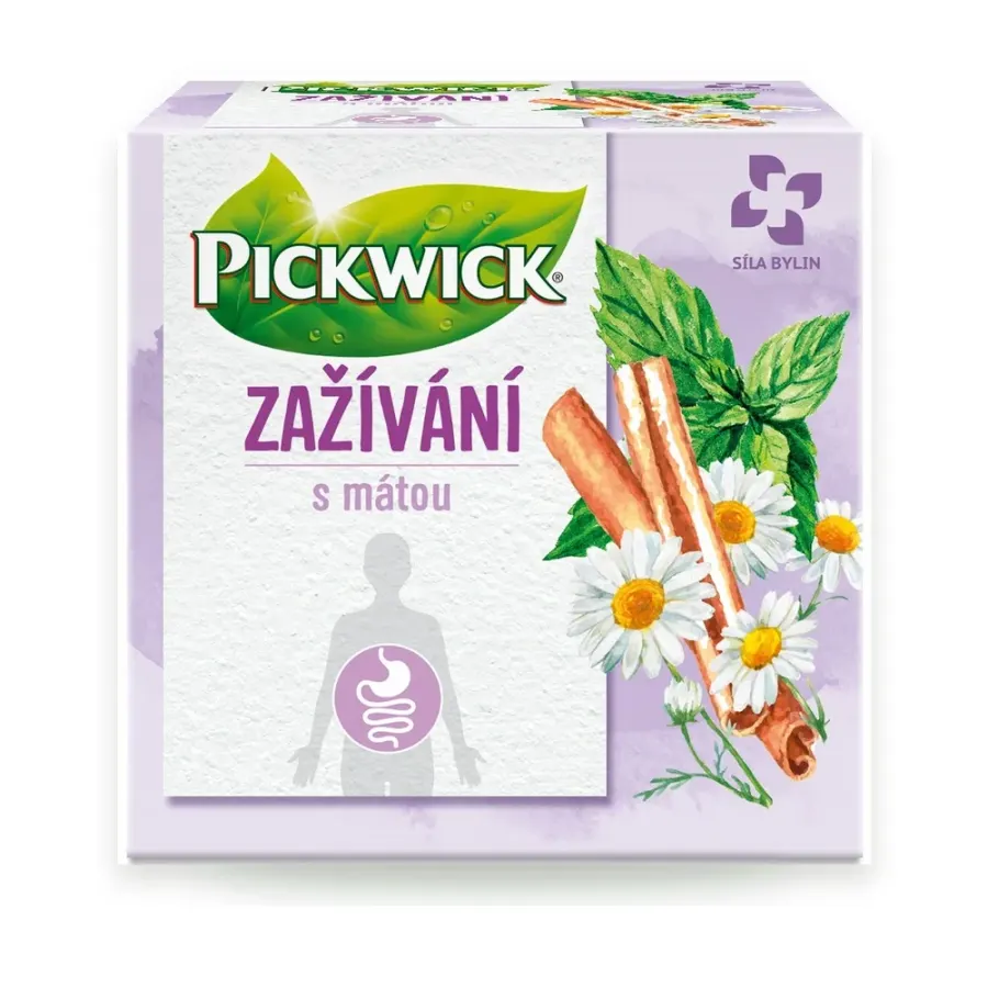 Čaj zažívání 20 g
