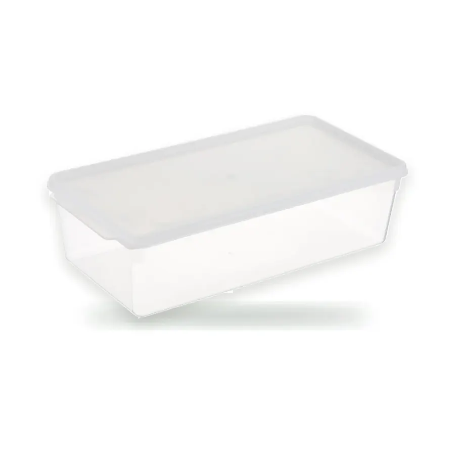 Box s víkem 10 l